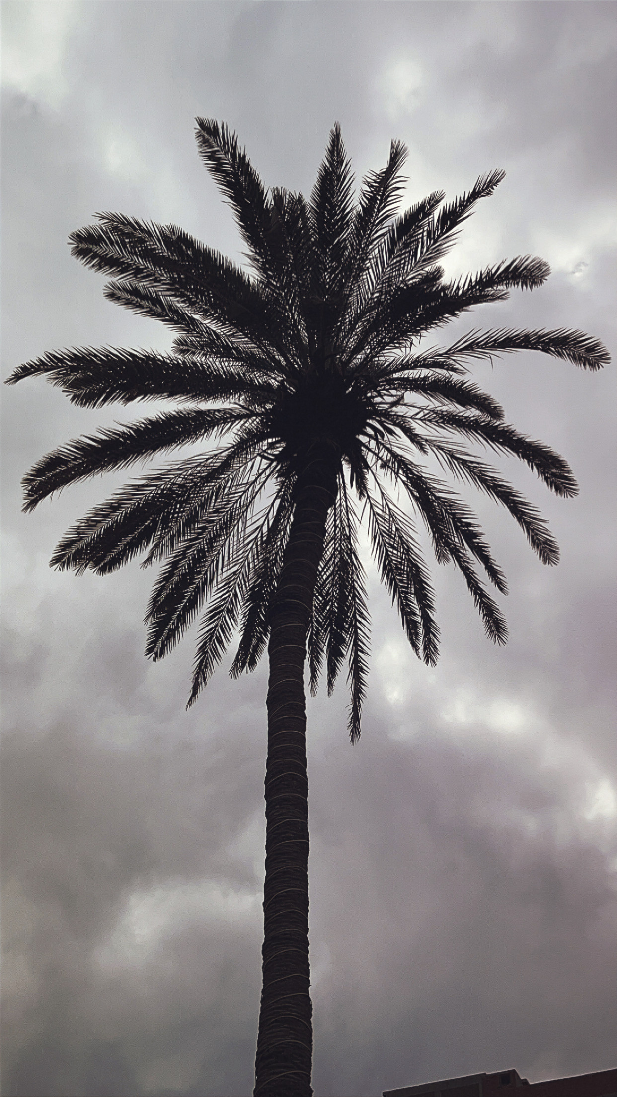 40 years old female with sudden right sided weekness